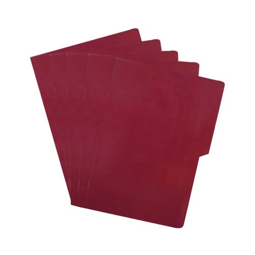 FOLDER TAMAÑO OFICIO DIEM BRIGHTS VINO 0025 PAQUETE CON 25 PIEZAS - Image 2