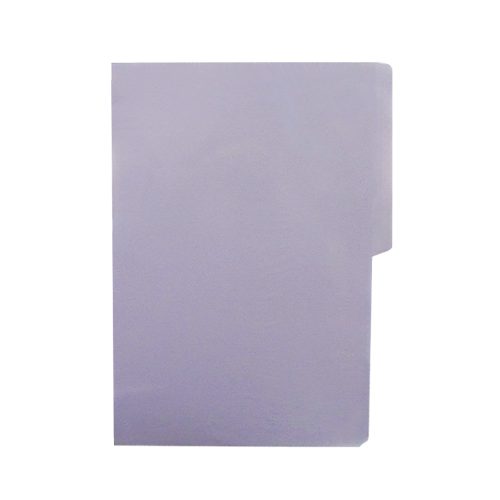 FOLDER TAMAÑO OFICIO DIEM BRIGHTS LILA 0006 PAQUETE CON 25 PIEZAS - Image 3