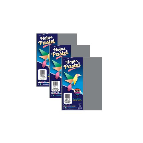 HOJA DE PAPEL DIEM PASTEL PAQUETE CON 100 PIEZAS GRIS INTENSO 12 TAMAÑO CARTA 75 GRAMOS - Image 2