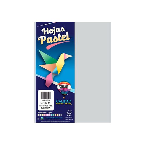 HOJA DE PAPEL DIEM PASTEL PAQUETE CON 100 PIEZAS GRIS 11 TAMAÑO CARTA 75 GRAMOS