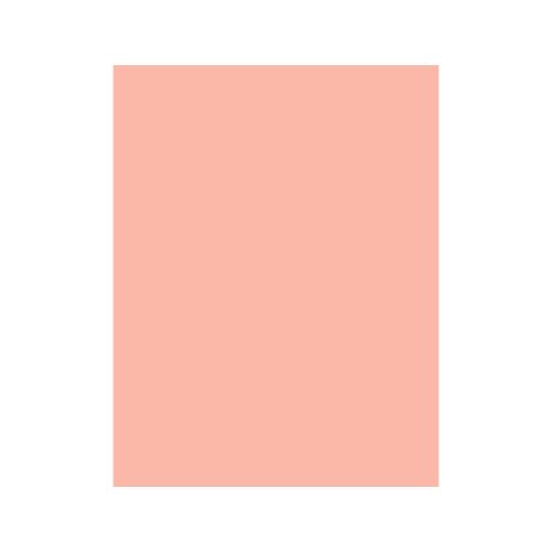 CARTULINA OPALINA DIEM PASTEL SALMON 000003 TAMAÑO CARTA 50 PIEZAS 176 GRAMOS - Image 2