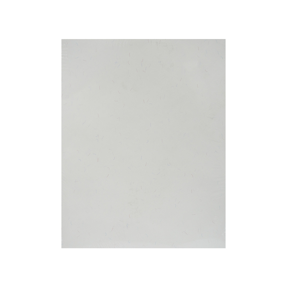 PAPEL SEGURIDAD CON PATRON VISIBLE CON LUZ UV AZUL PAQUETE DE 100 PIEZAS TAMAÑO CARTA 90 GRAMOS - Image 2