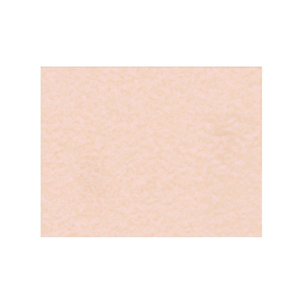 PLIEGO PERGAMINO EXTENDIDO DIEM ROSA0 50 CENTIMETROS X 65 CENTIMETROS PAQUETE CON 100 PIEZAS 90 GRA - Image 2