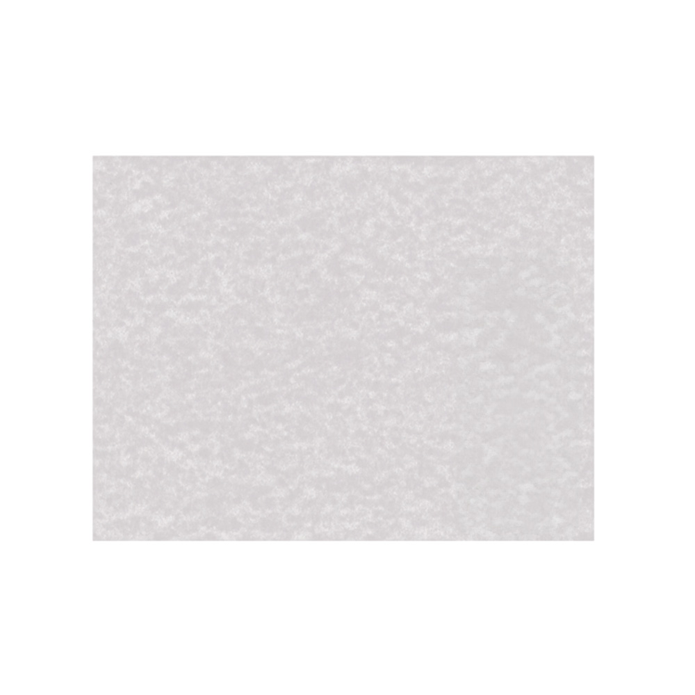 PLIEGO PERGAMINO EXTENDIDO DIEM GRIS0 50 CENTIMETROS X 65 CENTIMETROS PAQUETE CON 100 PIEZAS 90 GRAM - Image 2