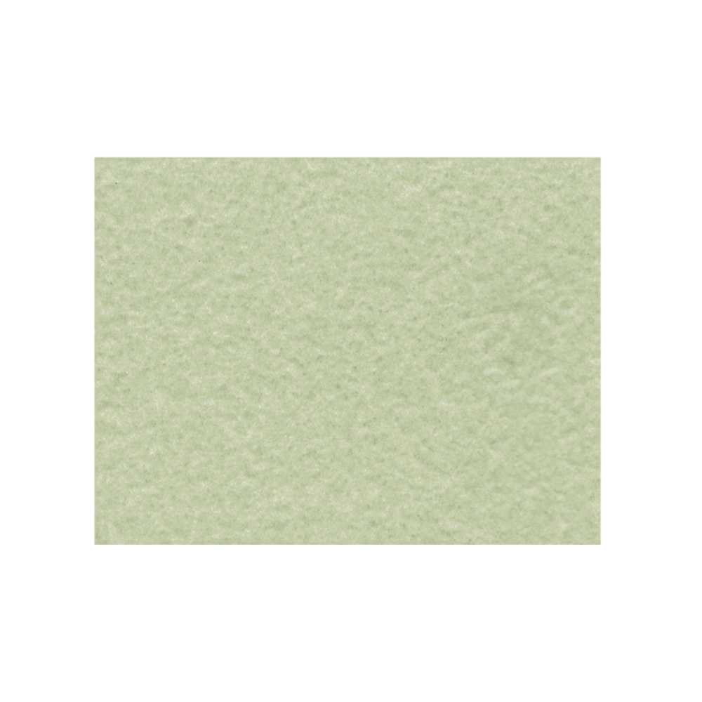 PLIEGO PERGAMINO EXTENDIDO DIEM VERDE OSCURO0 50 CENTIMETROS X 65 CENTIMETROS PAQUETE CON 100 PIEZAS - Image 2