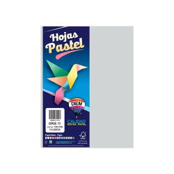 HOJA DE PAPEL DIEM PASTEL PAQUETE CON 100 PIEZAS GRIS 11 TAMAÑO CARTA 75 GRAMOS