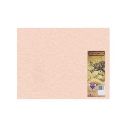 PLIEGO PERGAMINO EXTENDIDO DIEM ROSA0 50 CENTIMETROS X 65 CENTIMETROS PAQUETE CON 100 PIEZAS 90 GRA
