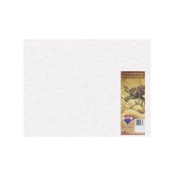 PLIEGO PERGAMINO EXTENDIDO DIEM BLANCO00 50 CENTIMETROS X 65 CENTIMETROS PAQUETE CON 100 PIEZAS 90 G