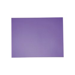 PLIEGO DE CARTULINA DIEM BRIGHT ZARZAMORA 33 50 CENTIMETROS X 66 CENTIMETROS 100 PIEZAS 176 GRAMOS