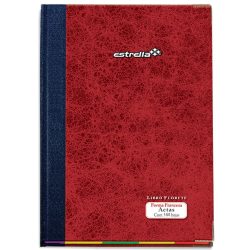 LIBRO FLORETE ESTRELLA 0113 114 HOJAS FORMA FRANCESA ACTAS