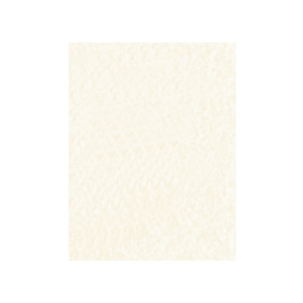 HOJA DE PAPEL PERGAMINO DIEM TC NATURAL 07 90 GRAMOS "PAQUETE¨" CON 100 PIEZAS - Image 2