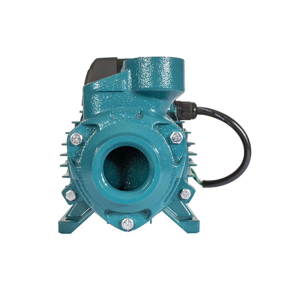BOMBA DE AGUA ELECTRICA IUSA 616291 1 HP PERIFERICA - Image 2