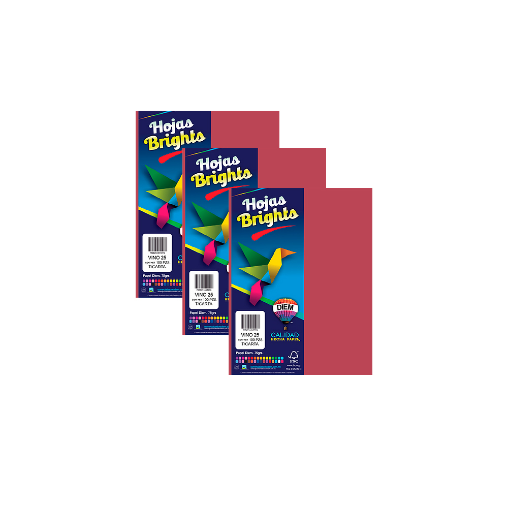 HOJA DE PAPEL DIEM BRIGHTS PAQUETE CON 100 PIEZAS VINO 25 TAMAÑO CARTA 75 GRAMOS - Image 2