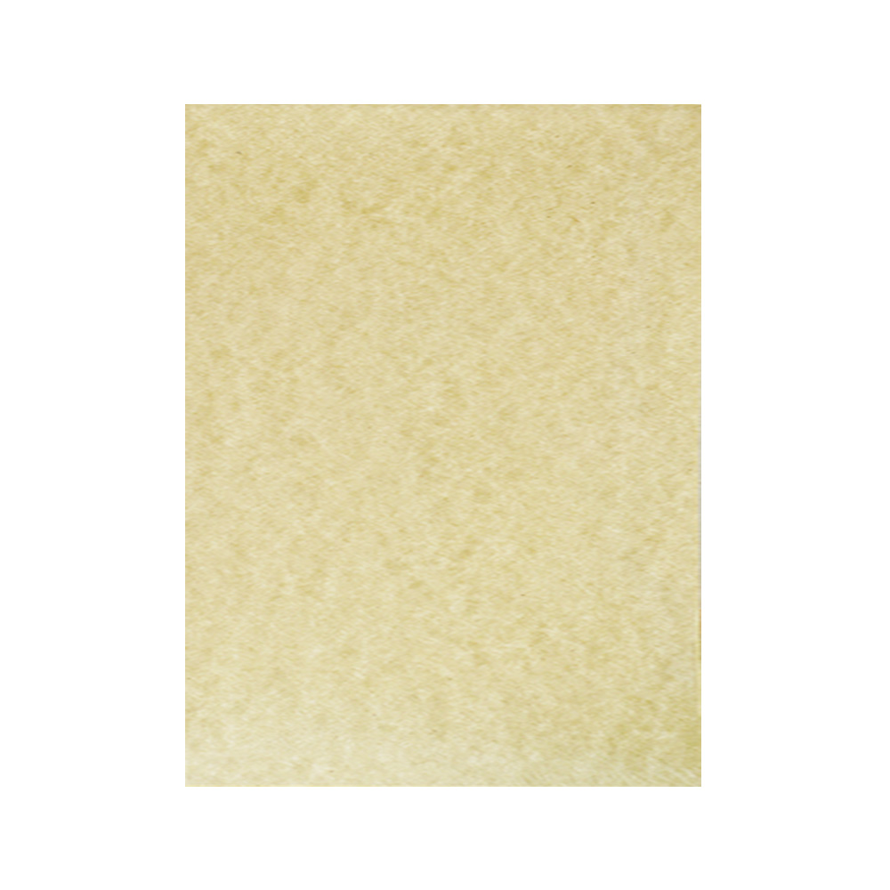 HOJA PERGAMINO CARTULINA DIEM AÑEJO PAQUETE CON 50 PIEZAS TAMAÑO CARTA 176 GRAMOS - Image 2