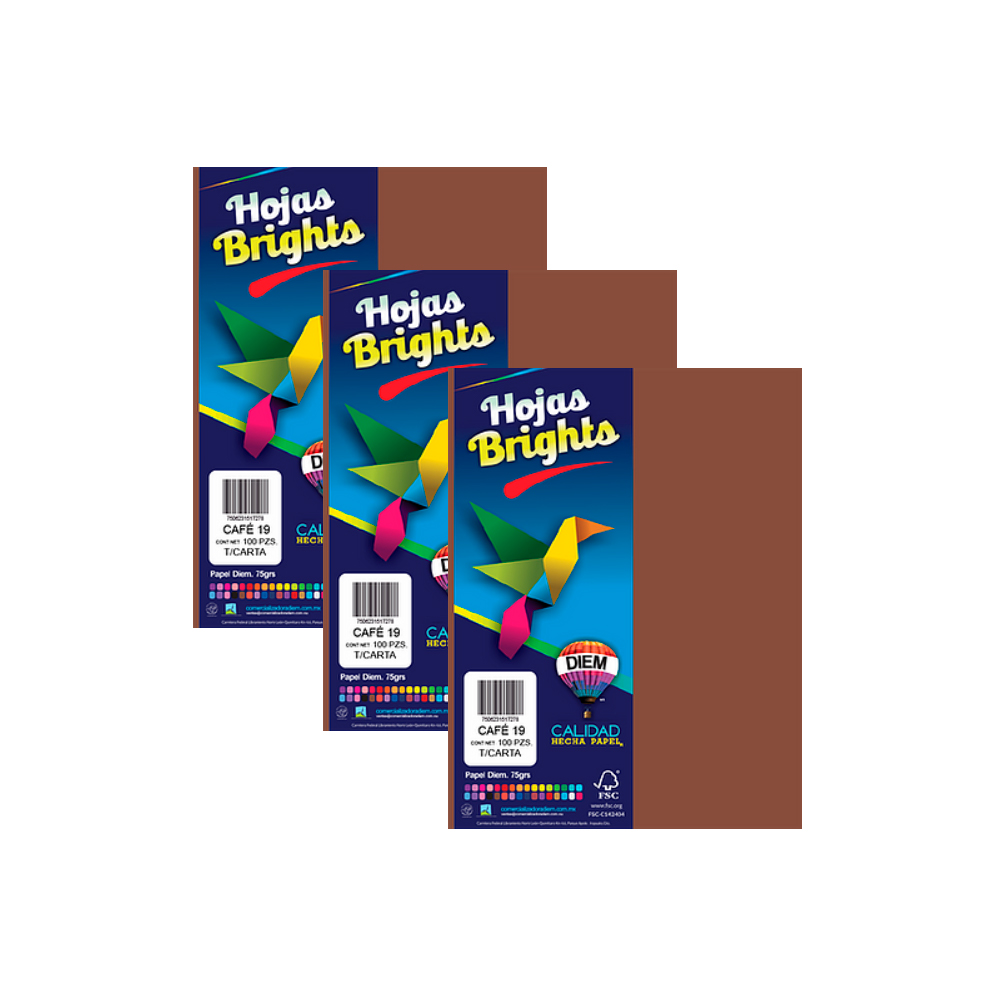 HOJA DE PAPEL DIEM BRIGHTS PAQUETE CON 100 PIEZAS CAFE 19 NEON TAMAÑO CARTA 75 GRAMOS - Image 2